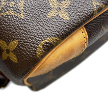 Load image into Gallery viewer, LOUIS VUITTON Nile BrownM45244 Monogram