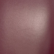 Load image into Gallery viewer, CELINE Mayon Triomphe Bucket Bag Shoulder Bag Bordeaux193043 Leather