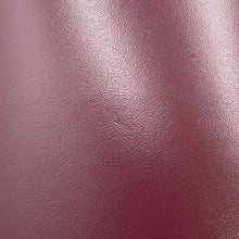 Load image into Gallery viewer, CELINE Mayon Triomphe Bucket Bag Shoulder Bag Bordeaux193043 Leather