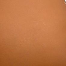 Load image into Gallery viewer, LOUIS VUITTON Hippo NS BrownM85130 Nomade・Leather