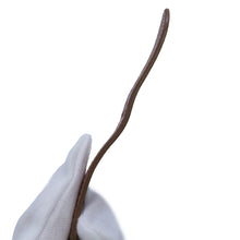 将图像加载到图库查看器中,OMEGA Seamaster W33mm K18YG Leather Black Dial14704-3SC