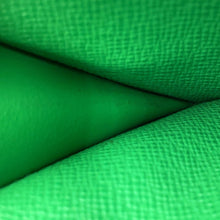 Load image into Gallery viewer, LOUIS VUITTON Coin Card Holder Japan Limited Edition BambooGreenM25844 Monogram Eclipse