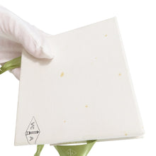 将图像加载到图库查看器中,Van Cleef & Arpels Sweet Papillon PendantVCARF80500 18K White Gold