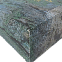 将图像加载到图库查看器中,ROLEX ExplorerⅡ W40mm Stainless Steel White Dial16570