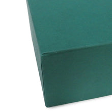 Load image into Gallery viewer, ROLEX GMT MasterⅡ W40mm Stainless Steel Black Dial126710BLNR