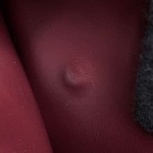 将图像加载到图库查看器中,CELINE Small flap wallet Triomphe Deep burgundy10D783GVE.28DG Goatskin Leather