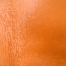 Load image into Gallery viewer, LOUIS VUITTON Sandwich Bag Saffron/BlueM24578 Leather