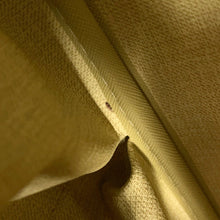 Load image into Gallery viewer, LOUIS VUITTON Deauville Bowling Vanity BeigeM47270 Monogram