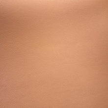 Load image into Gallery viewer, Delvaux Tempate BeigeAA0368AAX024FDP Calf Leather Size MM