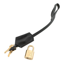 将图像加载到图库查看器中,LOUIS VUITTON Speedy Brown/NoirN41262 Damier Payet Size 30