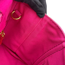 将图像加载到图库查看器中,PRADA Canapa 2WAYBag PinkB2439G Canvas Size Mini