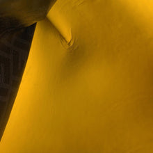 Load image into Gallery viewer, FENDI Backpack Black7VZ053 Leather