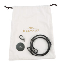 Load image into Gallery viewer, Delvaux Brillon Iron Shield GrayAA0434ARC080KPA Patent Leather Size micro