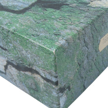 将图像加载到图库查看器中,ROLEX Sea-Dweller W40mm Stainless Steel Black Dial16600