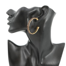 Load image into Gallery viewer, LOUIS VUITTON Earrings・LV SignatureM01627 Metal Monogram