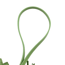 Load image into Gallery viewer, HERMES Rodeo Pegasus Vert cricket Lambskin Size PM