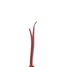 Load image into Gallery viewer, LOUIS VUITTON Felicie Pochette Lovely Bird Pink/MulticolorM62426 Monogram