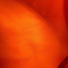 Load image into Gallery viewer, LOUIS VUITTON Keepall Bandouliere Silver/OrangeM44170 Monogram / Satellite Size 50