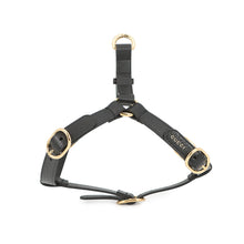 将图像加载到图库查看器中,GUCCI Interlocking G Pet Harness Black692963 Leather Size M