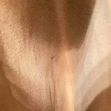 Load image into Gallery viewer, GUCCI Diana Bamboo Tote Bag Brown703218 Leather