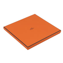 将图像加载到图库查看器中,HERMES Carre SUPER SILK QUEST Size 90 Black/Blue/Beige Silk100%