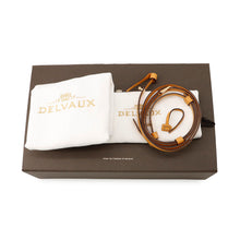 Load image into Gallery viewer, Delvaux Cool box Honey YellowAA0567AQY0AZCDO TaurillonSoft Leather Size Nano