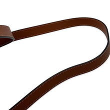 将图像加载到图库查看器中,CELINE Falco Triomphe Backpack Tan197662 PVC Calf Leather