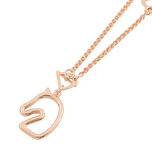 Load image into Gallery viewer, HERMES Tonnerre Cheval Necklace Marong rasse Metal Enamel