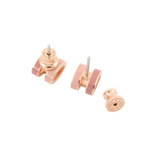 Load image into Gallery viewer, HERMES Pop Ash Earrings Rocabar Size Mini Beauty Lacquer Gold Plated