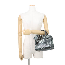Load image into Gallery viewer, LOUIS VUITTON City Steamer Black/Gray exotic Size MINI
