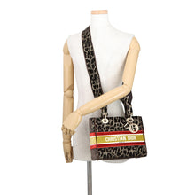 Load image into Gallery viewer, Dior Lady D-Light 2WAY Bag Brown/MulticolorM0565OTGT_M918 Velvet Size Medium