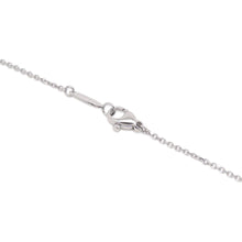 Load image into Gallery viewer, HARRY WINSTON HW logo NecklacePEDPRD16HWL Pt950
