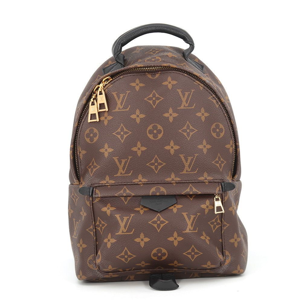 Louis Vuitton Palm Springs PM Backpack
