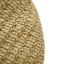 Load image into Gallery viewer, SAINT LAURENT PARIS Le Raffia Cross Body Bag Beige667490GAAA32099 Raffia