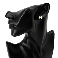 Load image into Gallery viewer, HERMES Pop Ash Earrings Size Mini White Gold Plated Lacquer