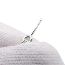 Load image into Gallery viewer, HERMES Chaine d'Ancre Farandole EarringsH108618B00 SV925