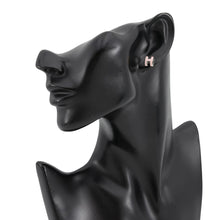Load image into Gallery viewer, HERMES Pop Ash Earrings Size Mini Pink Metal Lacquer