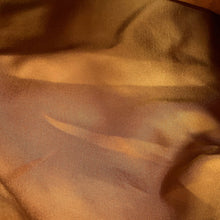 Load image into Gallery viewer, HERMES Silky City Champion Tiger Fururi Multicolor Silk Swift Leather Size PM