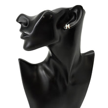 将图像加载到图库查看器中,HERMES Pop Ash Earrings Size Mini VertPeppermint Metal Lacquer