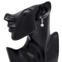 Load image into Gallery viewer, CARTIER Damour EarringsN8514900 18K White Gold