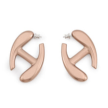 将图像加载到图库查看器中,HERMES Nautic Earrings Size GM Grès Lumière Aluminium