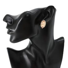 Load image into Gallery viewer, HERMES Mini Mayon Earrings Marong rasse Metal Enamel