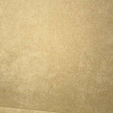 Load image into Gallery viewer, LOUIS VUITTON ★Alzer Noir Monogram Eclipse Size 65