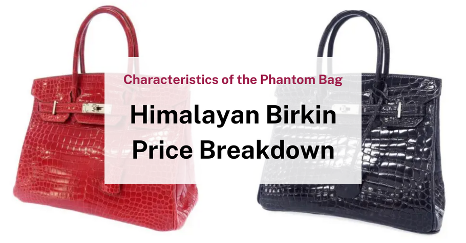 Hermès Himalayan Birkin: Price & Characteristics