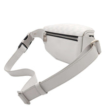 Load image into Gallery viewer, LOUIS VUITTON Bumbag WhiteN40326 Damier Infini Leather
