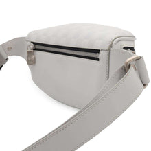 Load image into Gallery viewer, LOUIS VUITTON Bumbag WhiteN40326 Damier Infini Leather
