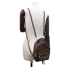 Load image into Gallery viewer, LOUIS VUITTON Palm Springs Backpack NoirM44873 Monogram Size MINI
