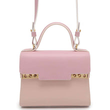 Load image into Gallery viewer, Delvaux TAMPATE 2Way Shoulder Bag Forever Rose Leather Size Small
