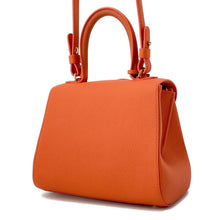 将图像加载到图库查看器中，Delvaux Brillon mini Orange Leather
