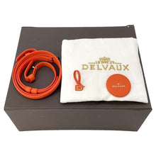 Load image into Gallery viewer, Delvaux Brillon mini Orange Leather
